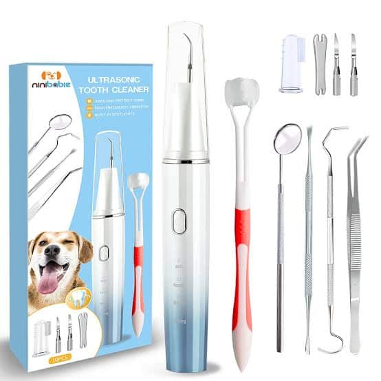 The Ultimate Dog Tooth Brushing Kit: A Professional's Guide To A Cleaner Canine Smile