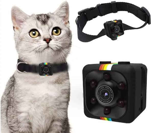 Capture Your Cat's Adventures with the Best Cat Camera Collar