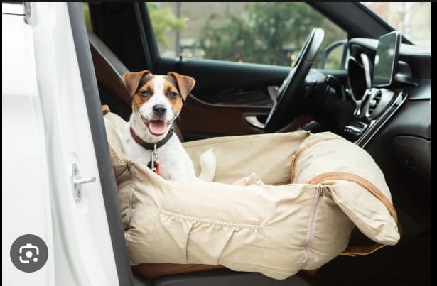 Dog Car Bed: Why you need a Good Dog Car Bed