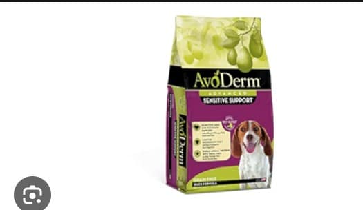 Best Dog Food for Skin Allergies
