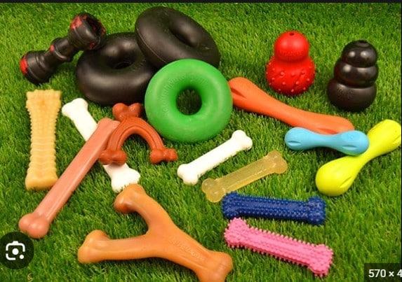 Top 8 Indestructible Dog Toys for Chewers