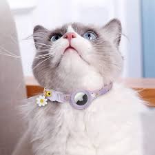 Cat AirTag Collar
