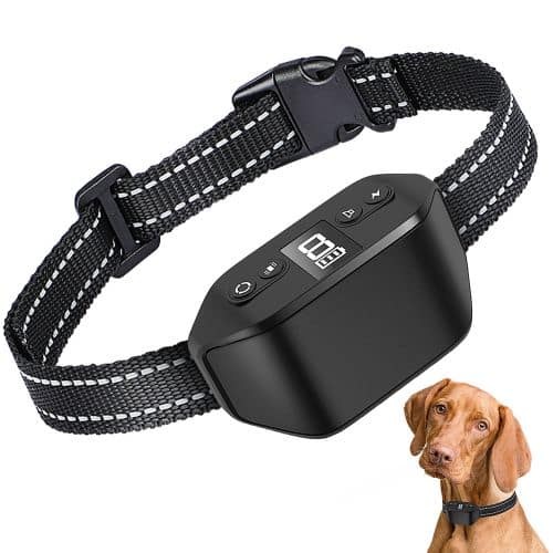Bark Collar For Large Dogs