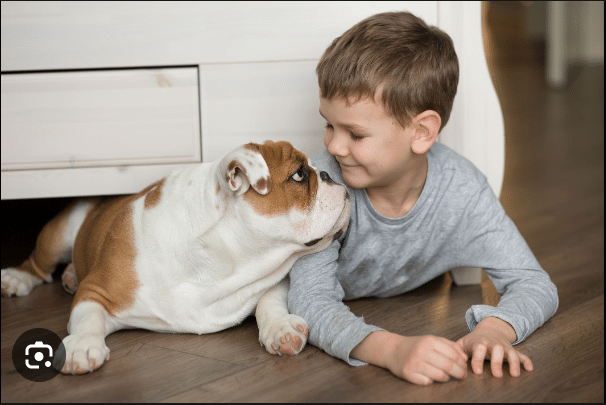 What Dog Breed is best to get for my Child?